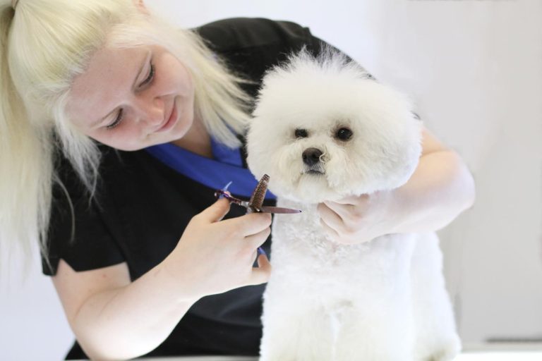 Pet Grooming Services